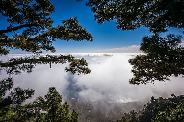 Canary Islands-El Hierro Island-Mirador de las Playas-elevated view of the east coast with fog